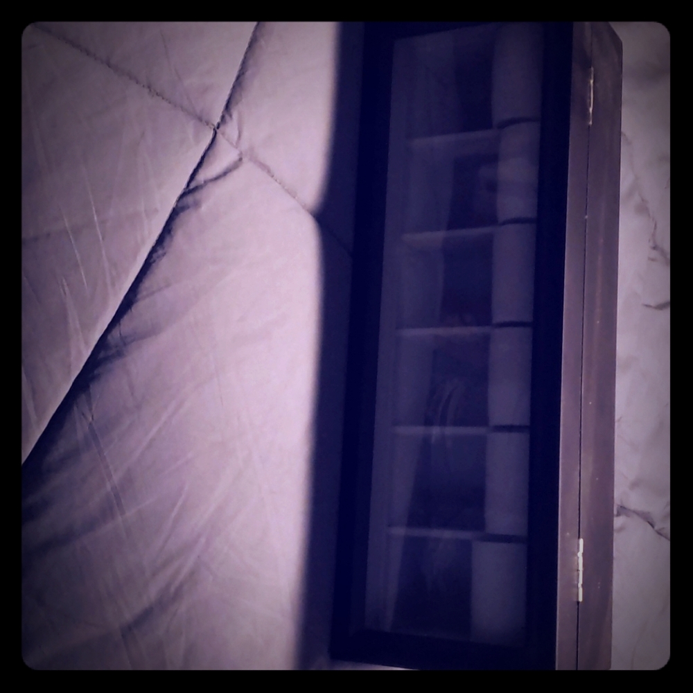 Watch case